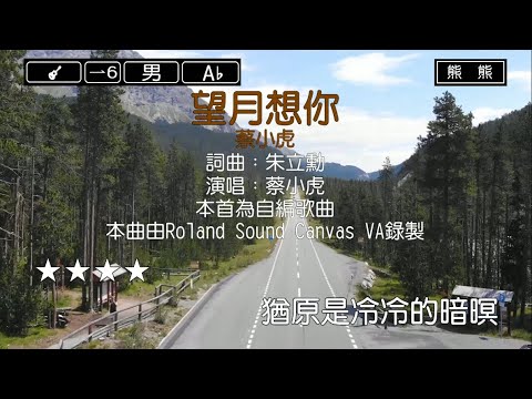 望月想你-蔡小虎(Karaoke伴奏)