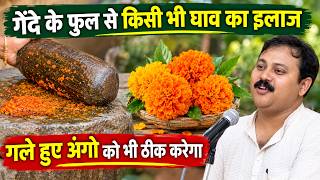 घाव जल्दी भरने का घरेलू उपाय? जानिए गेंदे के फूल का उपयोग | Rajiv Dixit