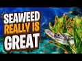 Seaweed's Role in Coastal Ecosystems
