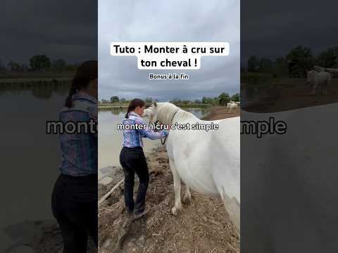 Monte à cru comme ça sur ton cheval ! #camargue #cheval #chevalpassion #equitation