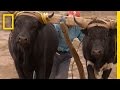 Cultural Traditions and Rituals in Bolivia