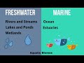 Water and Estuaries Knowledge Assessment