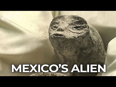 Mexico's Alien Body. Real or Fake?