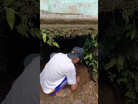 Masuk Kedalam Gorong gorong banyak ikan Part 1
