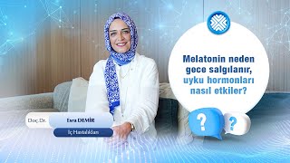 Uyku Düzeni Melatonini Nasıl Etkiler? Melatonin Neden Gece Uyurken Salgılanır?