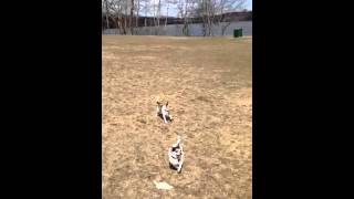 Running