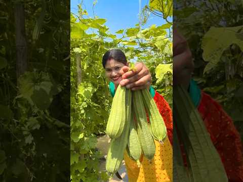 Ridge gourd skin chutney recipe #shorts