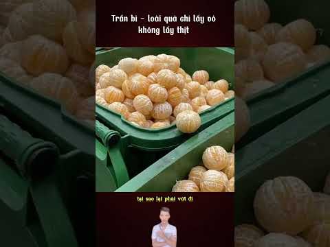 Tại sao người ta chỉ lấy vỏ loại quýt này và bỏ đi lõi ?