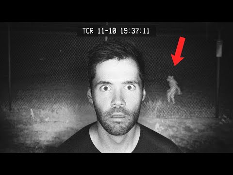 I Investigated the Place Where Leprechauns Live