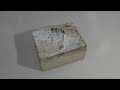 Understanding Fossils and Their Significance