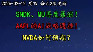 美股 SNDK、MU再度暴涨！MSFT加速自研大模型！马斯克回应xAI人事震荡！AAPL的AI战略遇挫！NVDA如何预期？黄金、白银、ASML、TSLA、AMD、LLY、SMCI、DIS、COIN