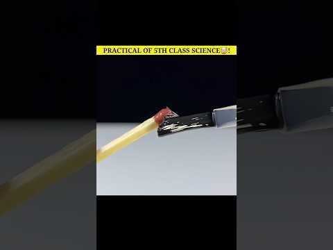 Class 5th Science Is Not For Beginners! #shorts #ytshorts #lifehacks #experiment #video
