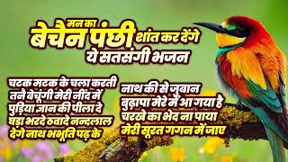 समय बर्बाद करने वालो के लिए एक गहरी बात छिपी हैं इन भजनो में - Chetawani Bhajan | Guru Bhakti Live