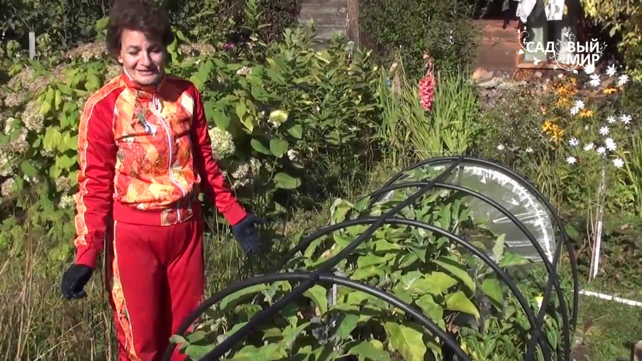 Минипарник для овощей. Удобно и просто