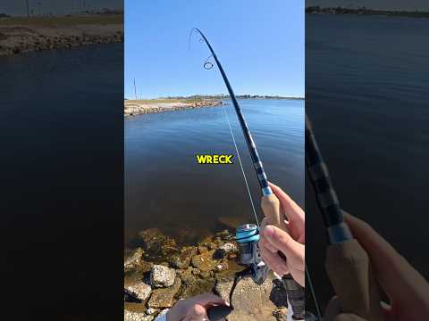 Catch Clean Cook! #fishingvideo