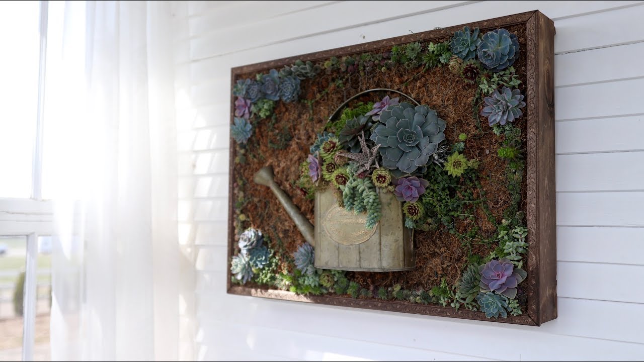 Vertical Succulent Arrangement Update and Wall Hanging!