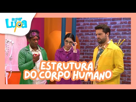 ESTRUTURA DO CORPO HUMANO - SUPER LUPA