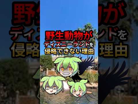 野生動物がディズニーランドを侵略出来ない理由#ゆっくり解説 #ずんだもん #動物