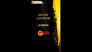 No Voy A Llorar, Los Diablitos, Video Letra - Sentir Vallenato