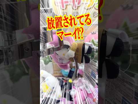 アームに引っ掛かっている状態で放置されていたクレーンゲームをやってみる。サンリオキャラクターズだーくねす・すくーるマスコット2!! #shorts #short #sanrio #サンリオ
