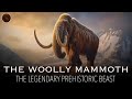 Woolly Mammoths: Evolution and Ecology