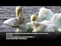 Climate Change and Its Impact