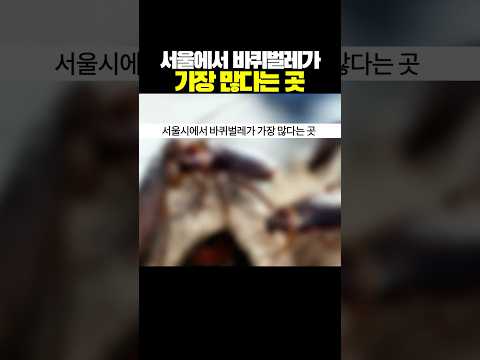 바퀴벌레가 많은 이유