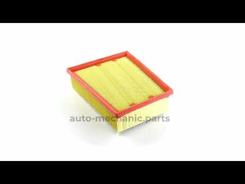 Фільтр повітряний Renault Scenic IV/Megane IV 1.5dCi 15- - Auto-Mechanic
