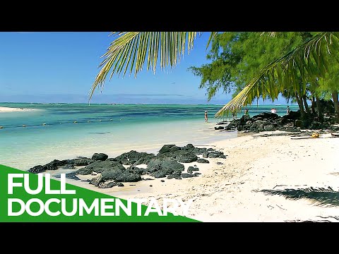 YouTube video thumbnail: A Tropical Paradise in the Indian Ocean