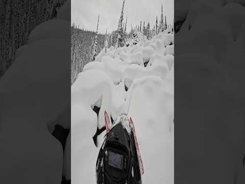 This hill took my lunch money #fail #snowmobilefails #crash