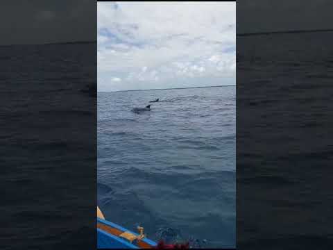 Indian Ocean Mombasa Deep sea