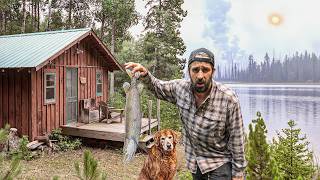 WILDFIRES & EXTREME HEAT at the Cabin! Dead Fish Everywhere