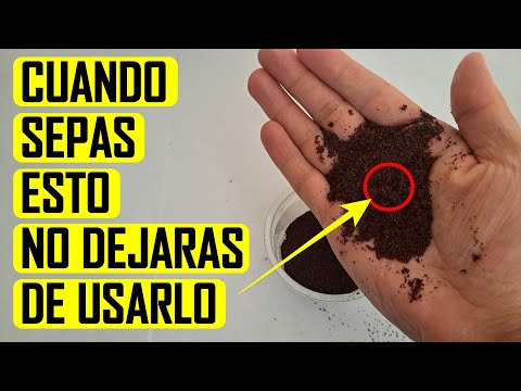 El secreto de USAR CAFÉ ☕| Sorprendente ATRAE DINERO, SUERTE  y EL AMOR