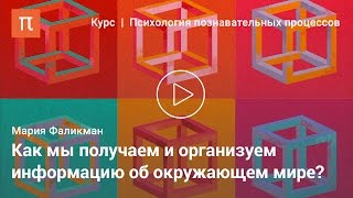 видео