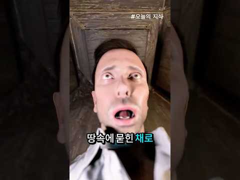 😱 산 채로 묻힌 채 깨어난다면 당장 이렇게 하세요!