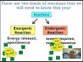 Cellular Energy and Metabolic Pathways