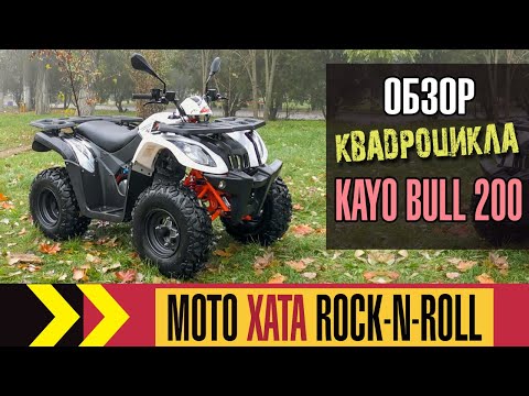 Kayo Bull