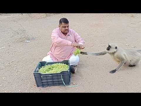 ????? सब से पहले कैप्टन  ?jay siyaram ?