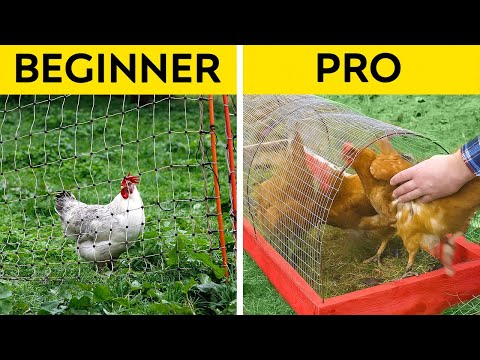 Build Your PET'S Dream Home Today!