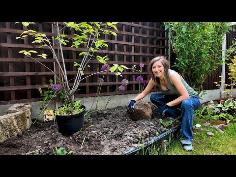 Back Garden Redesign - Border Preparation & Making a Feature