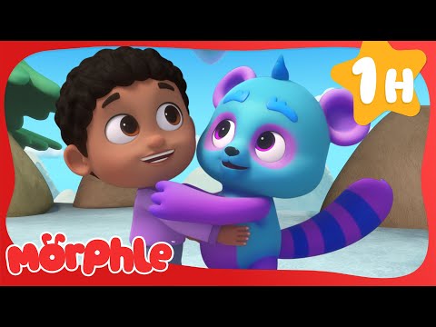 Bubblebear's Magic Match | Fun Animal Cartoons | @MorphleTV