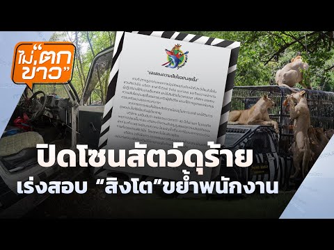 ปิดโซนสัตว์ดุร้าย เร่งสอบ “สิงโต” ขย้ำพนักงาน | ไม่ตกข่าว | 11 ก.ย. 68