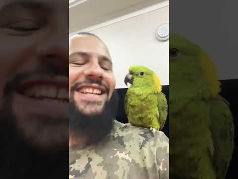 ببغاء يزلغط 🤣🤣🤣