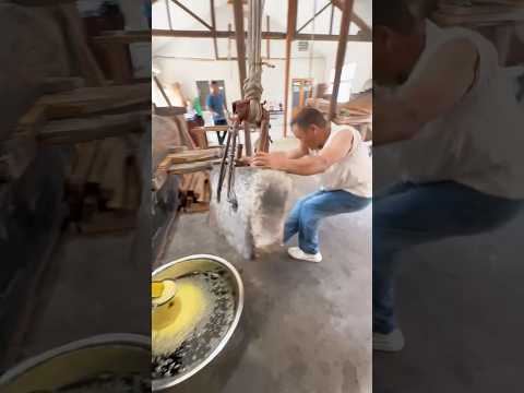 The ancient process of vegetable oil extraction 🤯