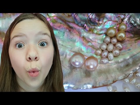 Finding pearls in oysters with Jillian & Addie of Babyteeth4