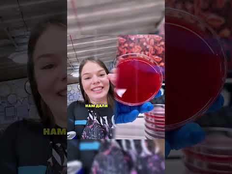 #funny #storytime