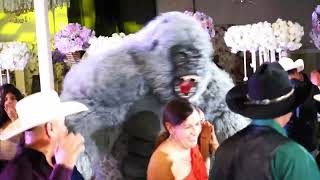 Austin Texas Dj Service 