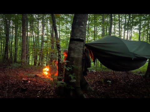 Safe and Ultimate Comfort for Outdoor Sleeping. Forest Camping with Hammock Tent