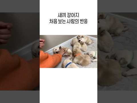 심장이 두근거려