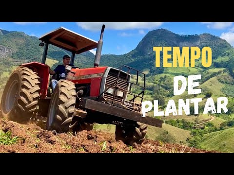 TERRA TOMBADA  - ESPERAR A CHUVA CHEGAR - VAMOS PLANTAR MILHO